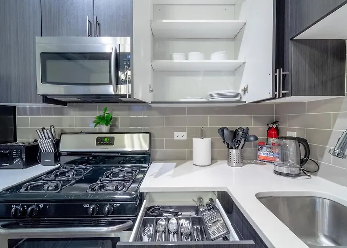 Apartment Modern 3br South Loop Living Family Unit Near Adler Planetarium & Mccormick Convention Center Chicago